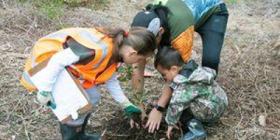 People planting a tree