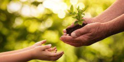 Hands passing seedling to child hands