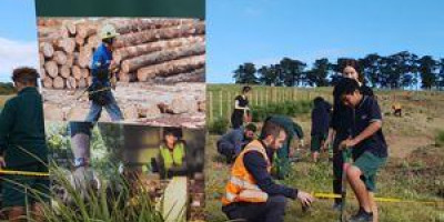 Te Uru Rakau banner and people planting trees